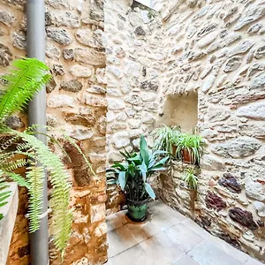 Apartamento Maravilloso En El Casco Antiguo, Besalú